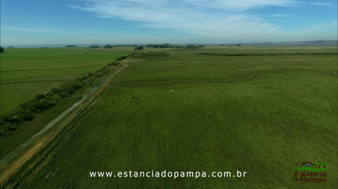 DOS EÓLICOS VIRA P FAZENDA_Moment.00_00_38_09.Quadro550_b1b27917110d533e0273075875f49a71924c27de.jpg